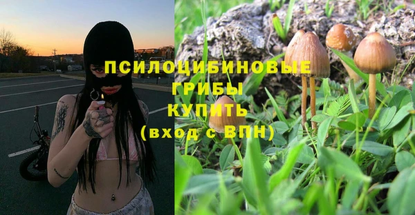 мескалин Абаза