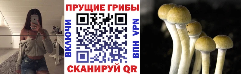 Псилоцибиновые грибы ЛСД  сколько стоит  Усолье 